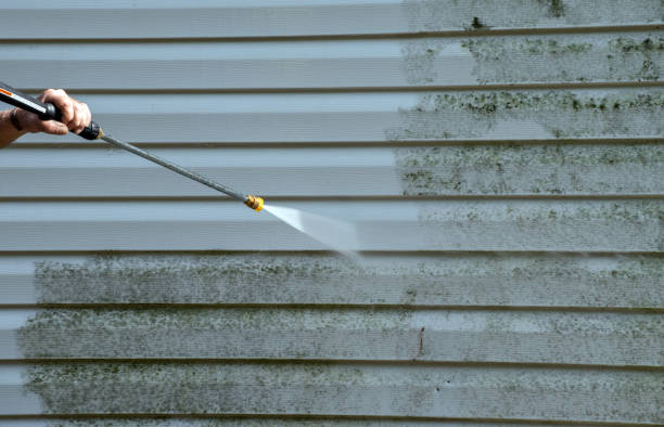 Boat and Dock Cleaning in Berry Creek, CA